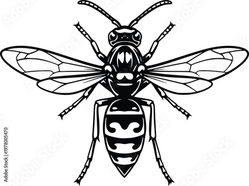 Hand Drawn Wasp Insect Vintage Line Art Vector Illustration