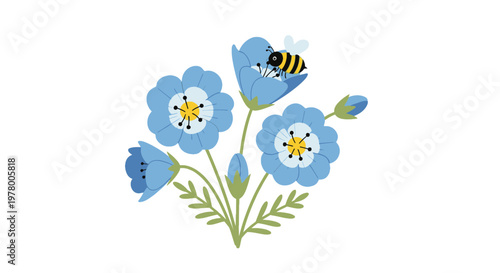Illustration of blue nemophila flowers blooming with a bee collecting nectar vector design floral springtime blossoms