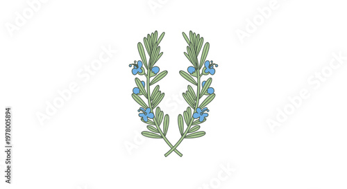 Illustration of rosemary sprigs with blue flowers arranged in a symmetrical pair; fresh herbs for culinary decoration or aromatherapy