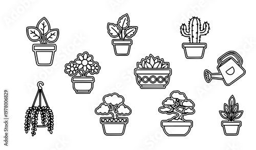Indoor plant and flowerpot outline icons with cactus bonsai and hanging planter in bold line vector style