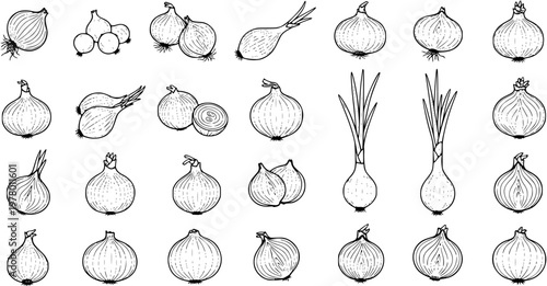 Hand-drawn onion illustrations set: various types like whole, sliced, and green spring onions. Vintage-style black outline sketch collection.