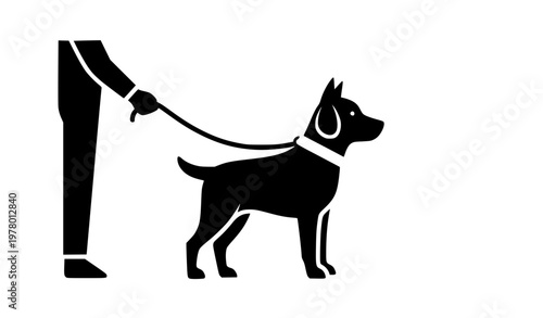 Dog on leash icon with collar in minimal pictogram style for pet walking sign isolated on white background vector