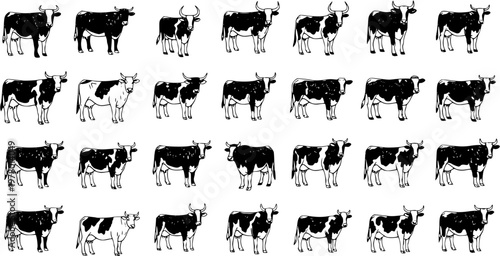 Seamless pattern of various cattle breeds, including cows and bulls, in black and white line art vector illustrations on a white background
