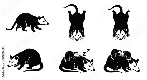 Tableau sur toile Opossum and Baby Opossums Silhouettes - Various Poses