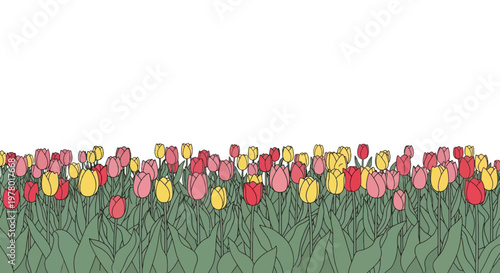 Vivid tulip garden illustration in pink yellow and red hues with lush green leaves showcasing a vibrant springtime floral display against a white background