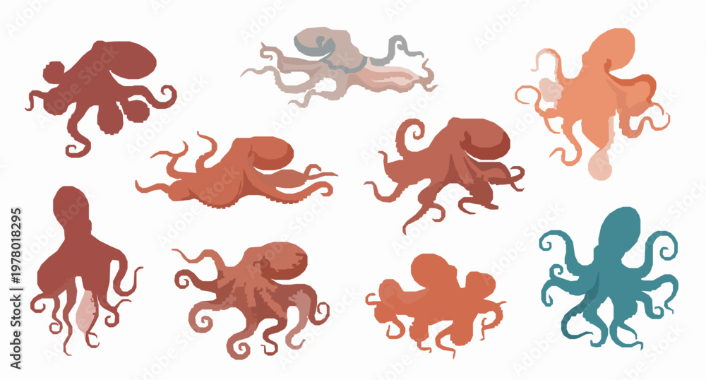Obraz premium Octopus species vector set with flat marine animals isolated on white background for educational illustration