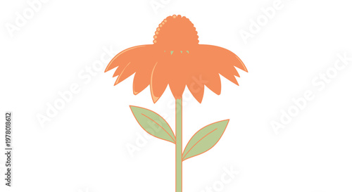 Echinacea flower illustration in orange with a cone-shaped center and drooping petals botanical drawing in a simple vector style on white backdrop