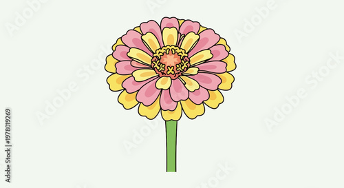 Zinnia flower illustration with pink and yellow petals cartoon style botanical design cheerful floral bloom on a green stem isolated