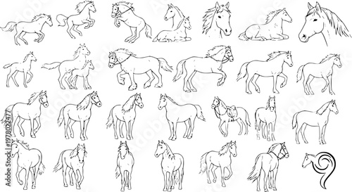 Collection of Various Horse Line Art Drawings, Sketches, and Illustrations in Diverse Poses and Styles, Ideal for Coloring Books or Design Projects