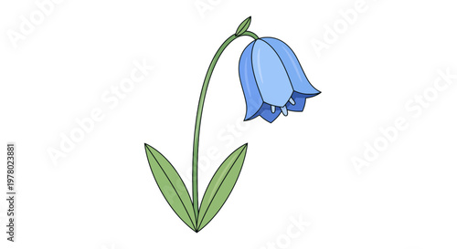 Illustration of a delicate bluebell flower with a curved green stem and vibrant leaves set against a clean white backdrop