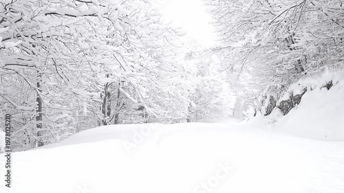 Heavy snowfall covered trees in the Alps mountains