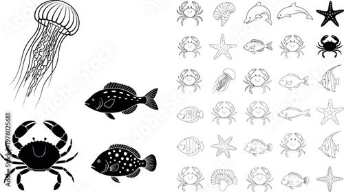Marine animals illustration set with jellyfish fish crab starfish dolphin silhouettes and outline sea life vector collection