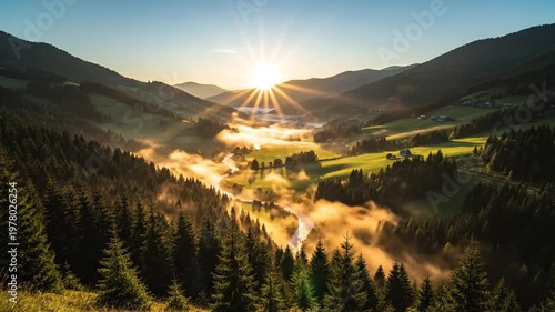 Misty Mountain Valley Sunrise: Fog Over Pine Forest and Rolling Hills