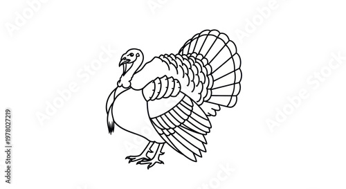 Line Art Turkey Bird Icon - Simple Outline Drawing of a Domestic Fowl