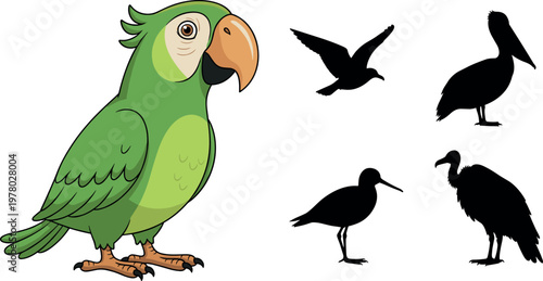Parrot bird illustration with cartoon character and multiple silhouettes wildlife vector collection isolated on background