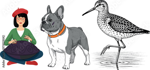 French bulldog dog illustration with musician woman and shorebird engraving style vector collection isolated background