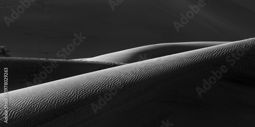 Cuadro en lienzo Desert sand dunes showing wind ripples and shadows