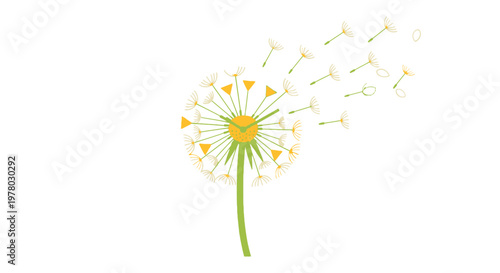 Delicate dandelion illustration with seeds blowing away in the wind on a white background; vector design in soft greens and yellows