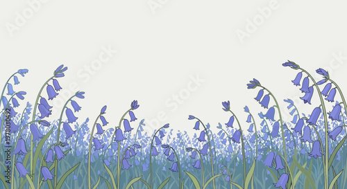 Illustration of a field of stylized bluebell flowers with slender stems and green leaves on a light background
