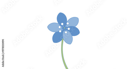 Illustration of a light blue hepatica flower with five petals and delicate white stamens on a curved green stem isolated on white