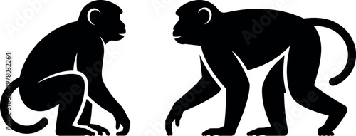 Monkey silhouettes pair minimal black vector illustration for wildlife animal primate poses interaction and jungle nature design concept use