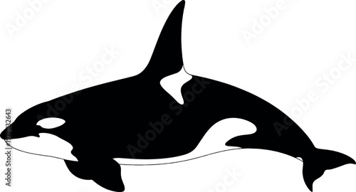 Orca whale silhouette minimal black vector illustration for marine animal ocean wildlife aquatic life and nature design concept use