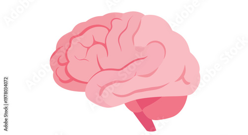 Pink Human Brain Illustration - Medical, Science, and Health Concept