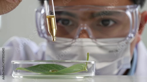 Scientist in protective goggles and mask conducting a precision experiment by applying a liquid to a plant leaf in a petri dish