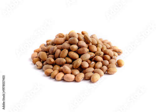 Photos Dried beans, kidney beans on a white background