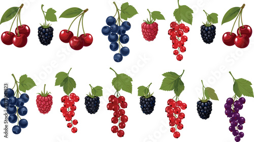 Hand drawn assorted berry collection vector illustration featuring cherries blueberries raspberries blackberries and currants with green leaves isolated on white