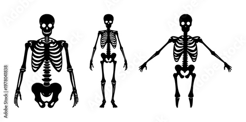 Human bone skeleton icon set with solid black line art design featuring anatomy, skeleton, medical illustration with healthcare and education