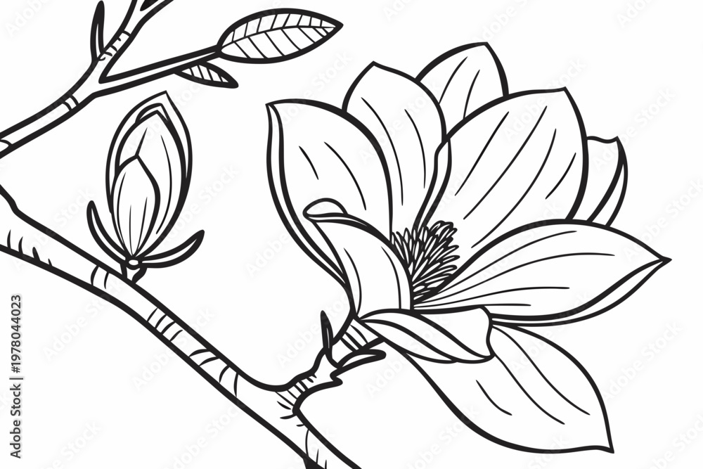 Obraz premium coloring page line art the magnolia flower black vector