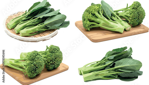 Fresh broccoli and leafy greens vegetable set on cutting boards and basket, healthy organic food vector illustration collection