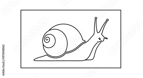 Simple Line Art Illustration of a Snail Crawling on a White Background