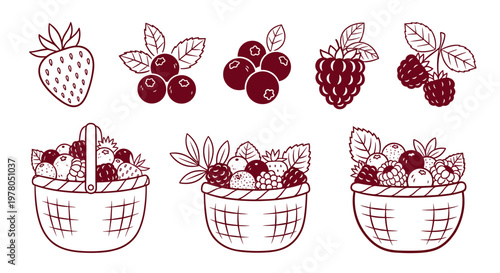 Colorful illustration of assorted berries in baskets and as individual fruits on a clean white background
