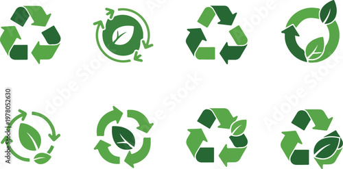 Uncovering intricate cellular life cycles an amoeba under microscope reveals dynamic biological renewal, a fascinating glimpse into fundamental microscopic processes and transformations