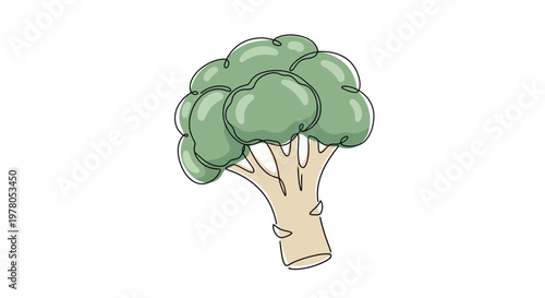 Broccoli Vegetable Fresh Green Healthy.