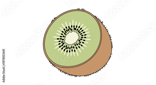 Fresh kiwi fruit cut in half.