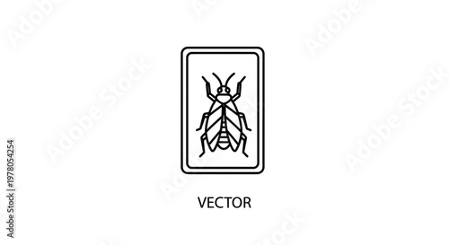 Insect specimen in a frame, vector illustration