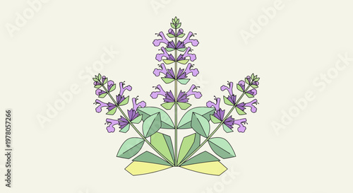 Lavender Flower Purple Blooming Plant.