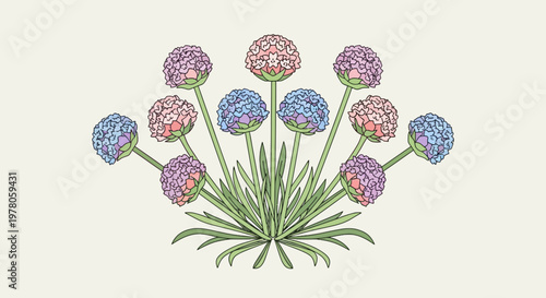 Charming Sea Thrift Illustration A Botanical Delight.