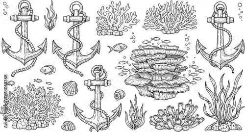 Nautical Anchor and Coral Reef Line Art Illustration Set with Marine Elements, Sea Life, Shells, Fish, and Ocean Decorative Outline Collection