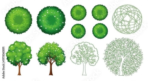 Top view garden landscape design trees bushes foliage benches outdoor illustration photo