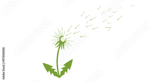 Dandelion Flower Blowing Seeds Away Outdoors.