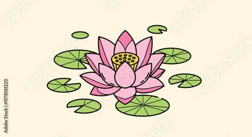Pink Lotus Flower Blossom Water Plant.