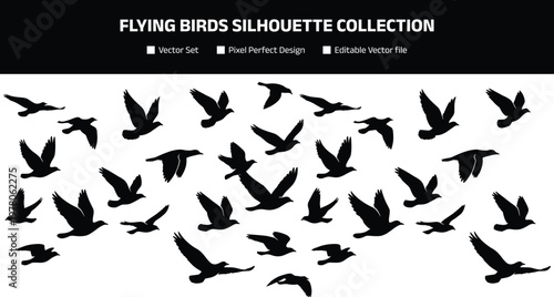 Flying birds silhouette collection featuring flock in motion, nature wildlife vector illustration set isolated on white background