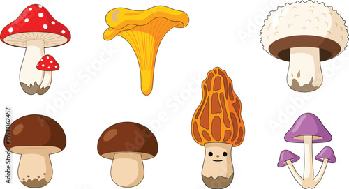 Mushroom Vector Set Featuring Different Mushroom Varieties Like Toadstools, Chanterelles, and Morel for Food, Nature, and Botanical Designs