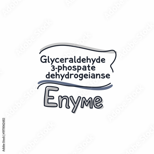 Glyceraldehyde 3 Phosphate Dehydrogenase Enzyme Graphic Illustration