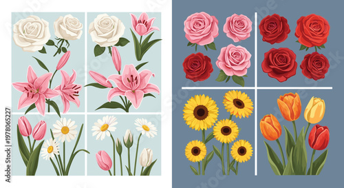 Beautiful floral collection featuring roses lilies sunflowers daisies and tulips in several colors and artistic arrangements.