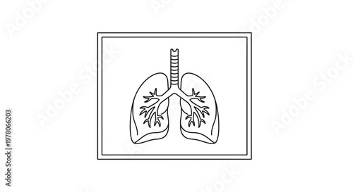 Human Lungs Anatomy Illustration: Trachea and Bronchial Tree